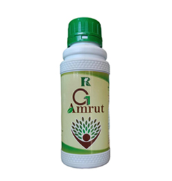 G1 Amrut