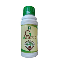 G1 Amrut